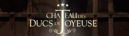 Hotel Château des Ducs de Joyeuse